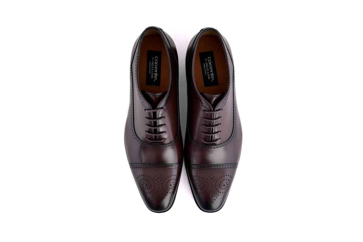 C0001105-7960 Perforated Cap toe lace up- Brown
